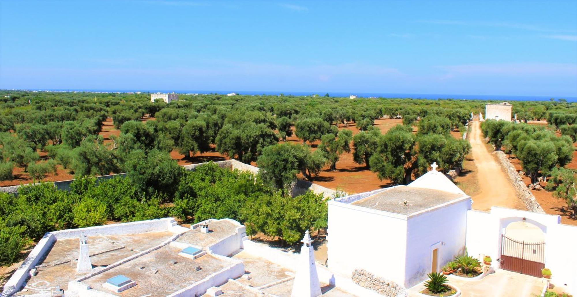 Masseria Mammella 모노폴리 외부 사진
