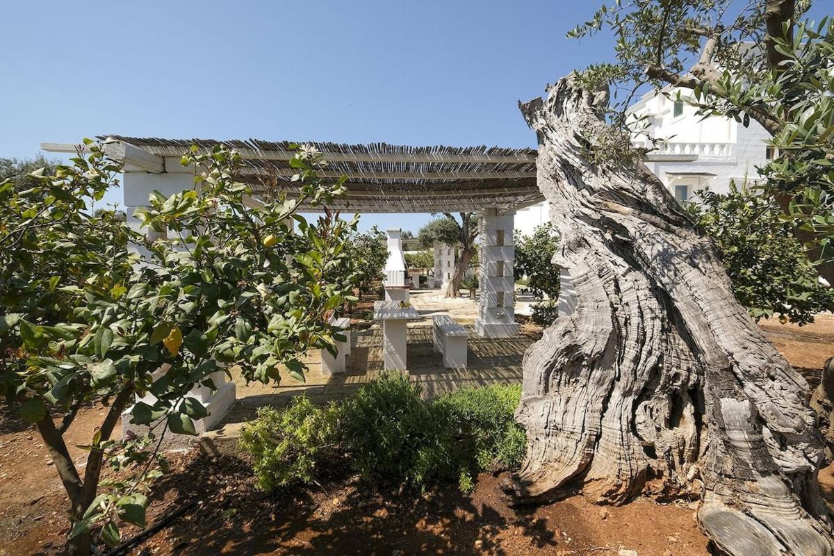 Masseria Mammella 모노폴리 외부 사진
